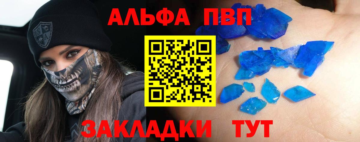 Альфа ПВП СК КРИС Сальск