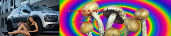прущая мука Абаза