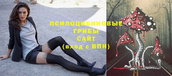 твердый Абинск