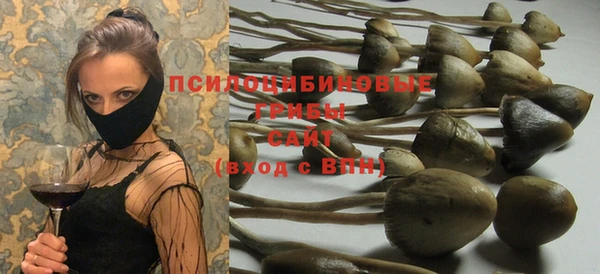 прущая мука Абаза