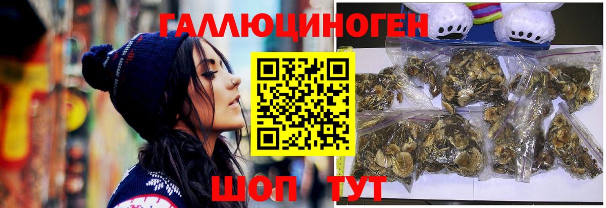 Сальск  Галлюциногенные грибы Cubensis  Вход с VPN 
